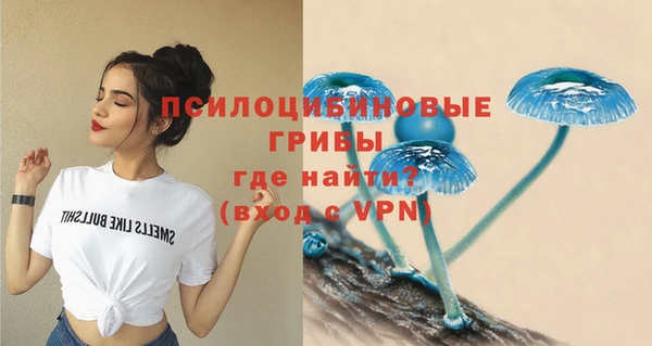 стаф Вяземский