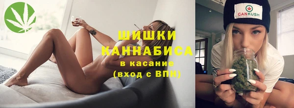 шишки Вязьма