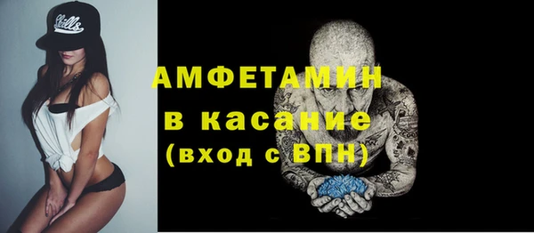 стаф Вяземский