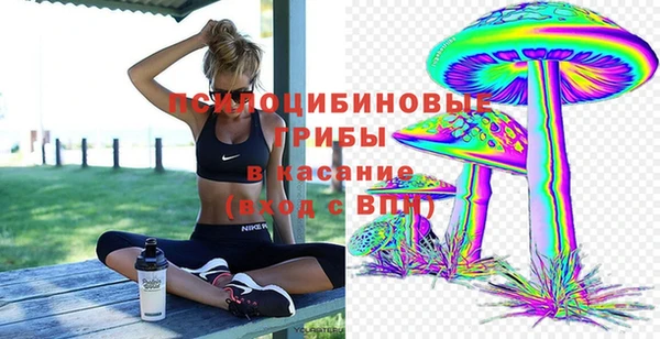 стаф Вяземский