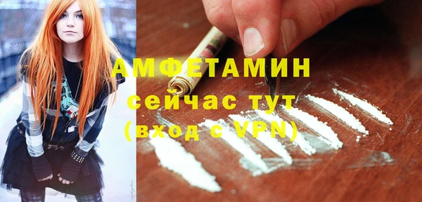 стаф Вяземский