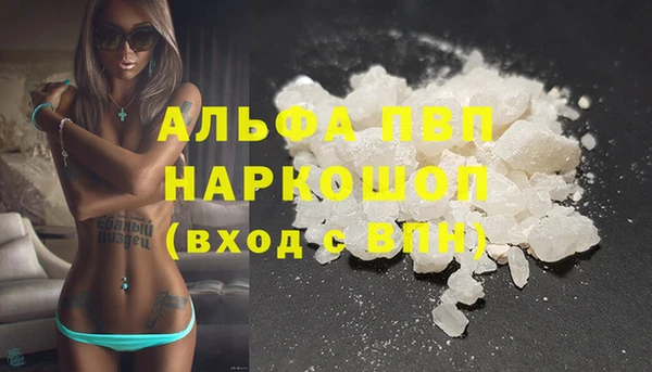 стаф Вяземский