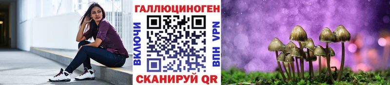 Купить закладки  Покачи  Галлюциногенные грибы мицелий 